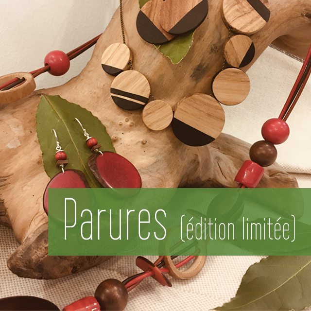 Boucles d'oreilles graines  bois Lyon